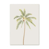 Sailboat Canvas Prints