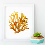 Orange Elkhorn Coral Reef Canvas Print 