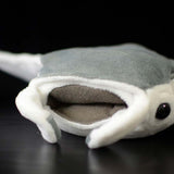 Cute Manta Teddy