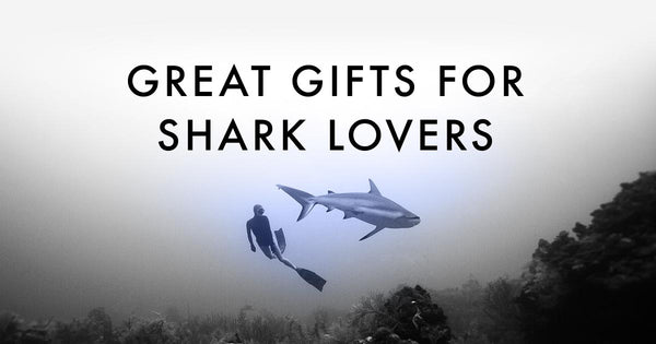 Great Gifts for Shark Lovers
