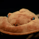 Face detail view of Horse Shoe Crab Plush