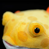 Face detail view of Boxfish Plush