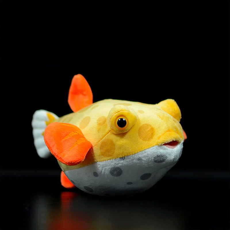 fidget box fish Boxfish Plush