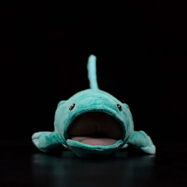 Front view of Coelacanth Plush