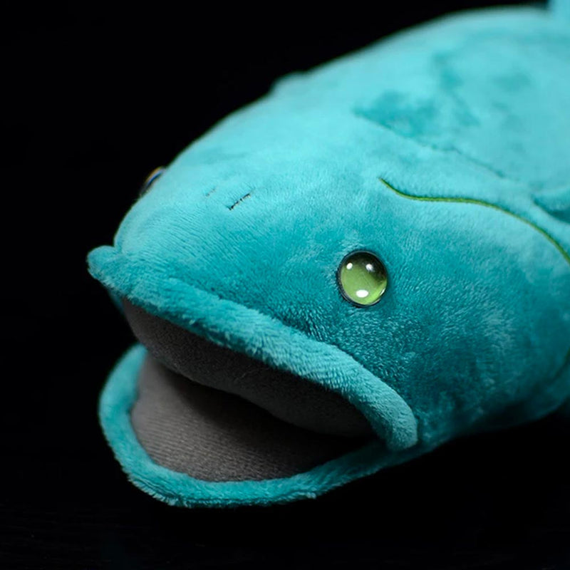Face detail view of Coelacanth Plush