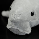 Face view detail of Dugong Plush