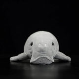 Front view of Dugong Plush