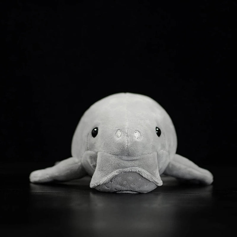 Front view of Dugong Plush