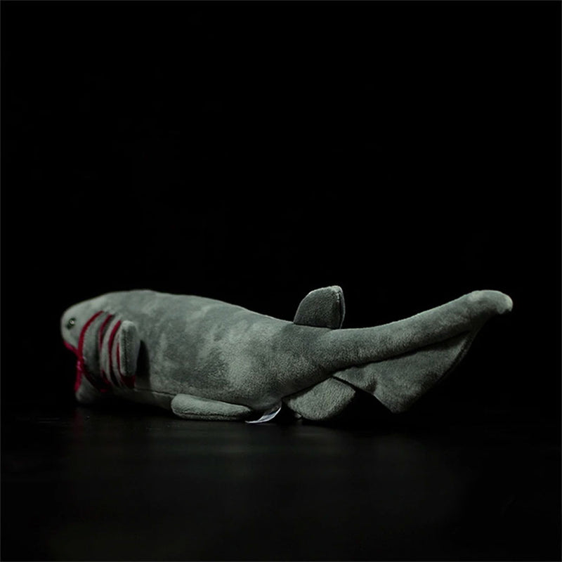 Frilled Shark Plush