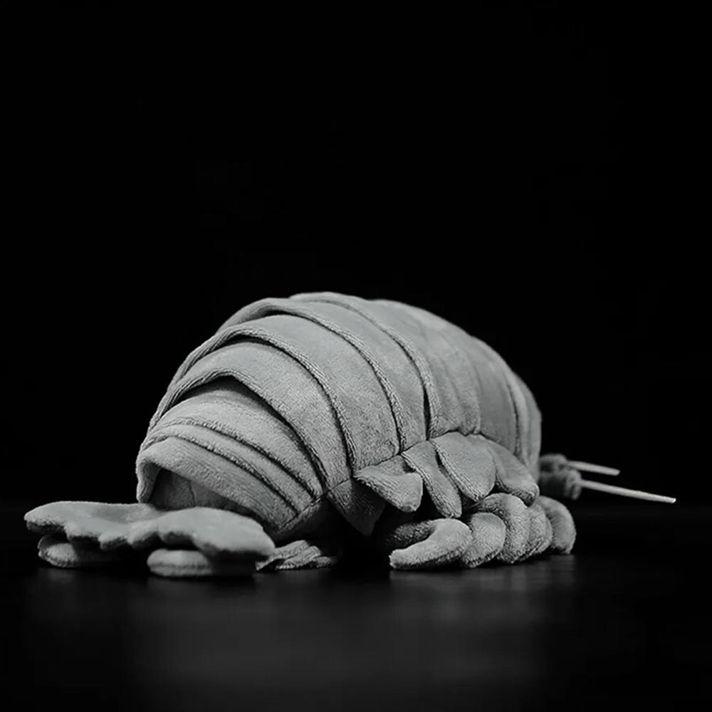 Isopod plush shop