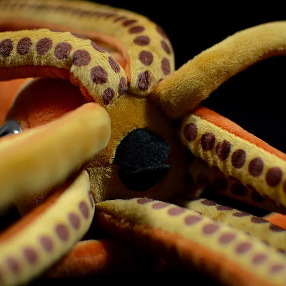 Giant Squid Plush | Citrus Reef