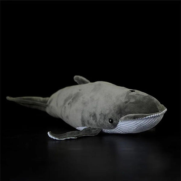 Humpback Whale Plush