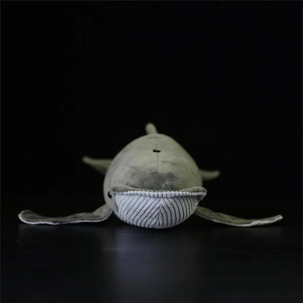 Humpback Whale Plush - Front view