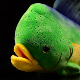 Face detail view of Mahi-Mahi Plush