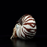 Back view of Nautilus Plush