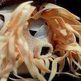 Tentacles and mouth detail view of Nautilus Plush