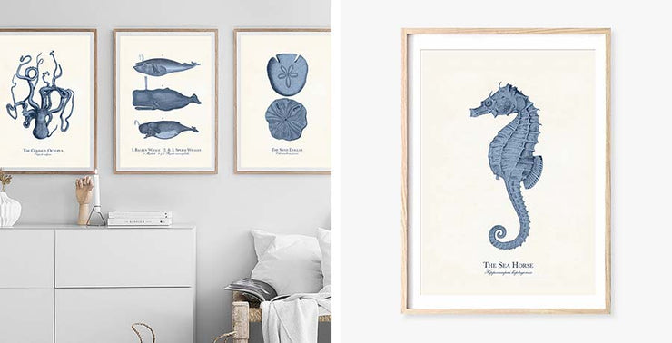 Shop Ocean Gifts for Home