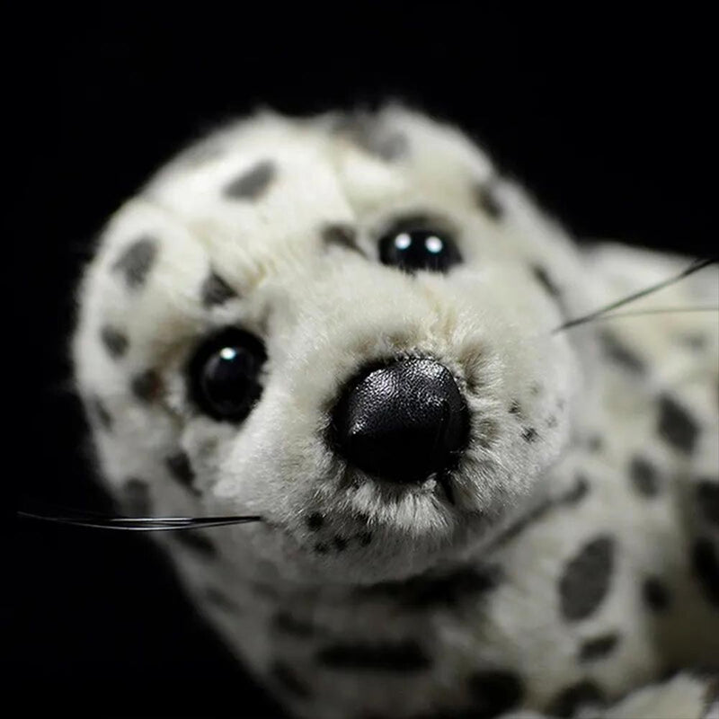Spotted Seal Pup Plush - Face