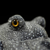 Spotted Stingray Plush - eyes detail