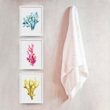 Set of three coral reef canvas prints 