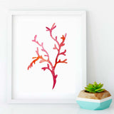 Red Sea Whip Coral Reef Canvas Print 