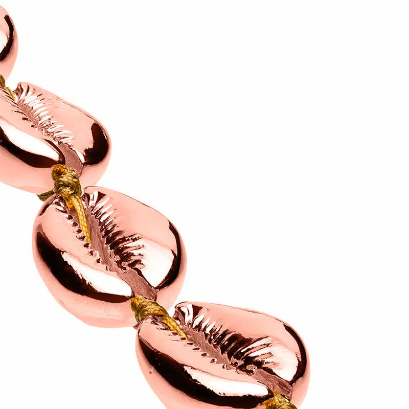 Rose Cowries on bracelet 