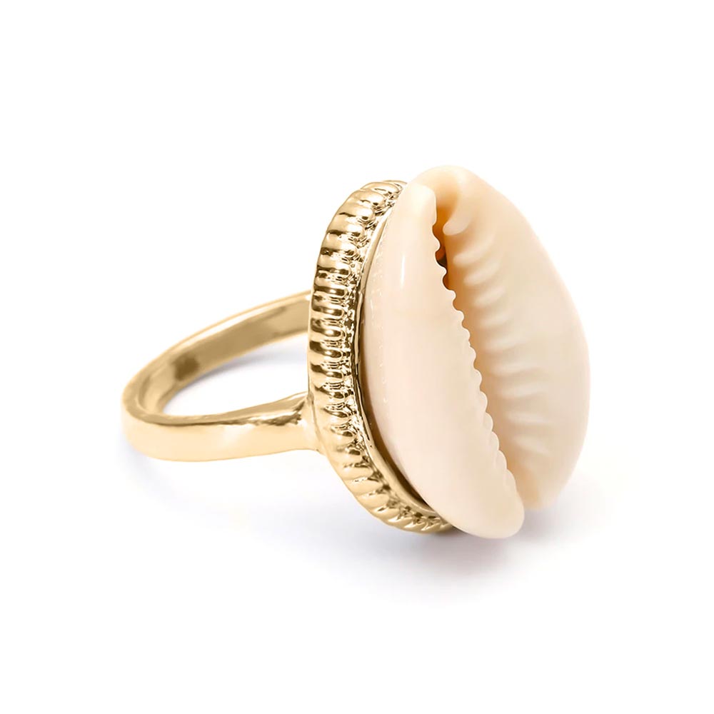 Gold Cowrie Shell Ring | Citrus Reef