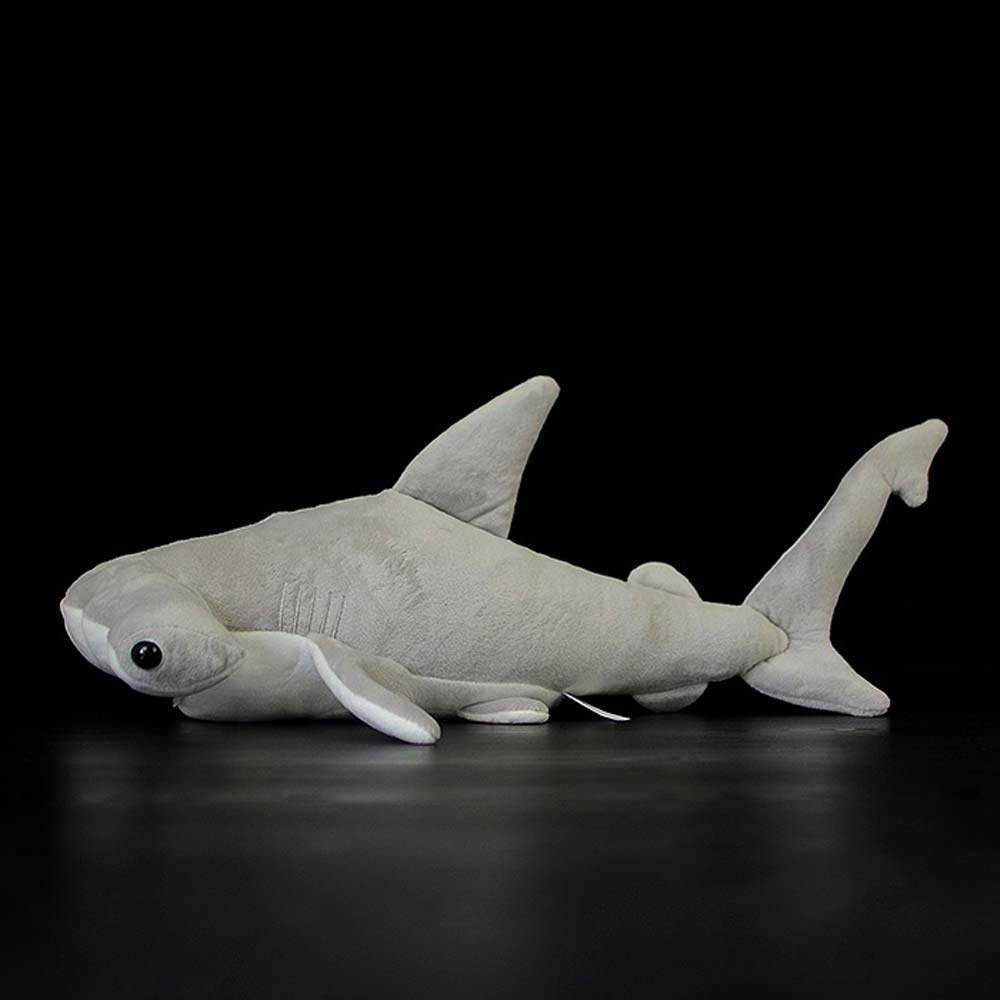 Hammerhead Shark Plush | Citrus Reef