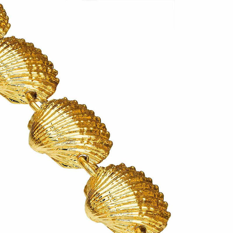 Gold scalloped shells close up 