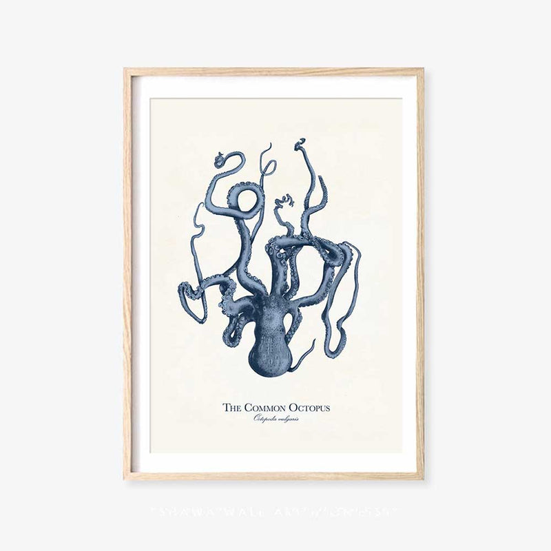 The Common Octopus Print 