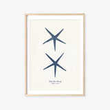 The Sea Star Print