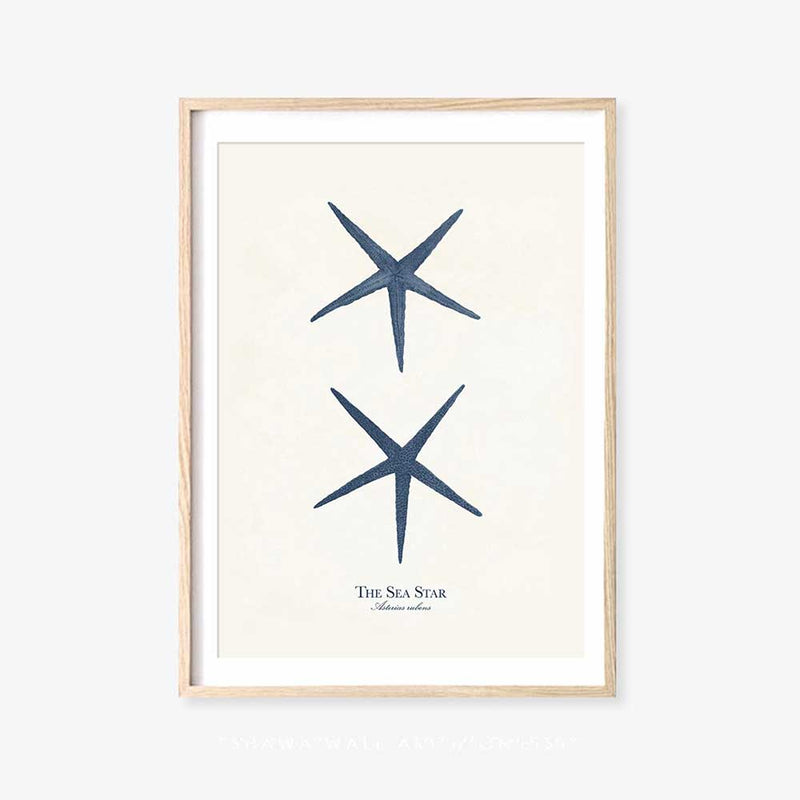 The Sea Star Print