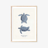 The Sea Turtle Print