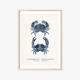 The Edible Crab and Stone Crab Print