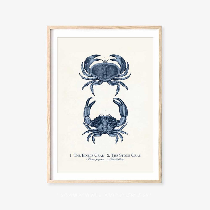 The Edible Crab and Stone Crab Print