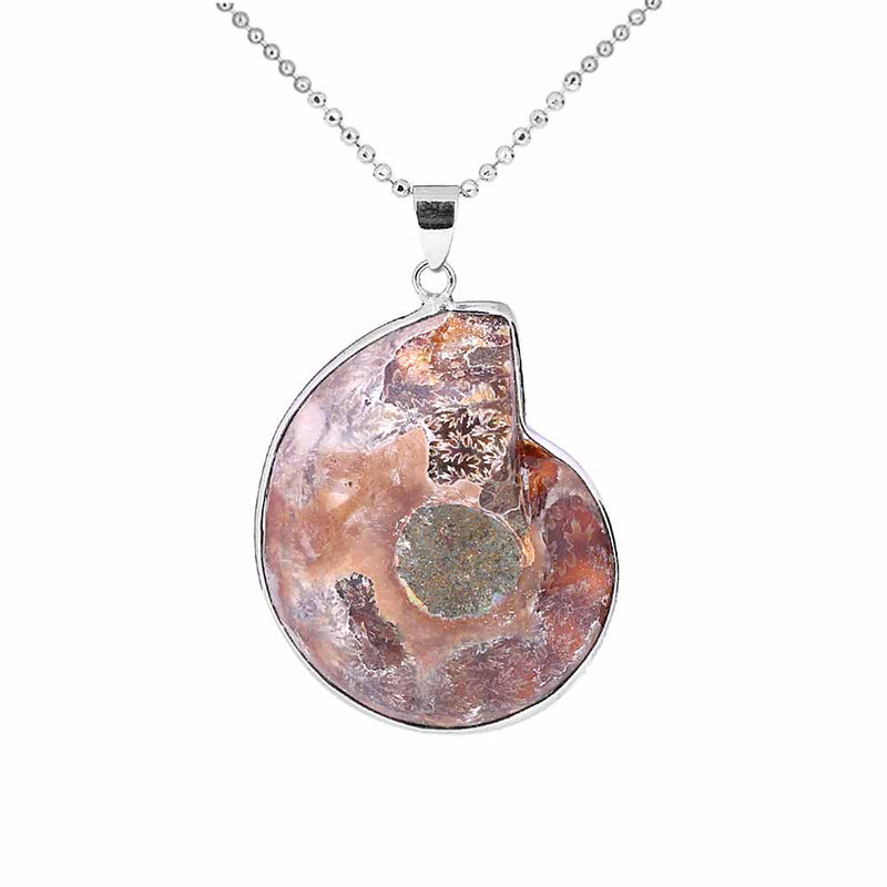 back of a Nautilus Shell Pendant