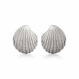 Pair of Silver Clam Shell Earrings on white background