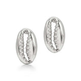 Silver Cowrie Shell Earrings on white background