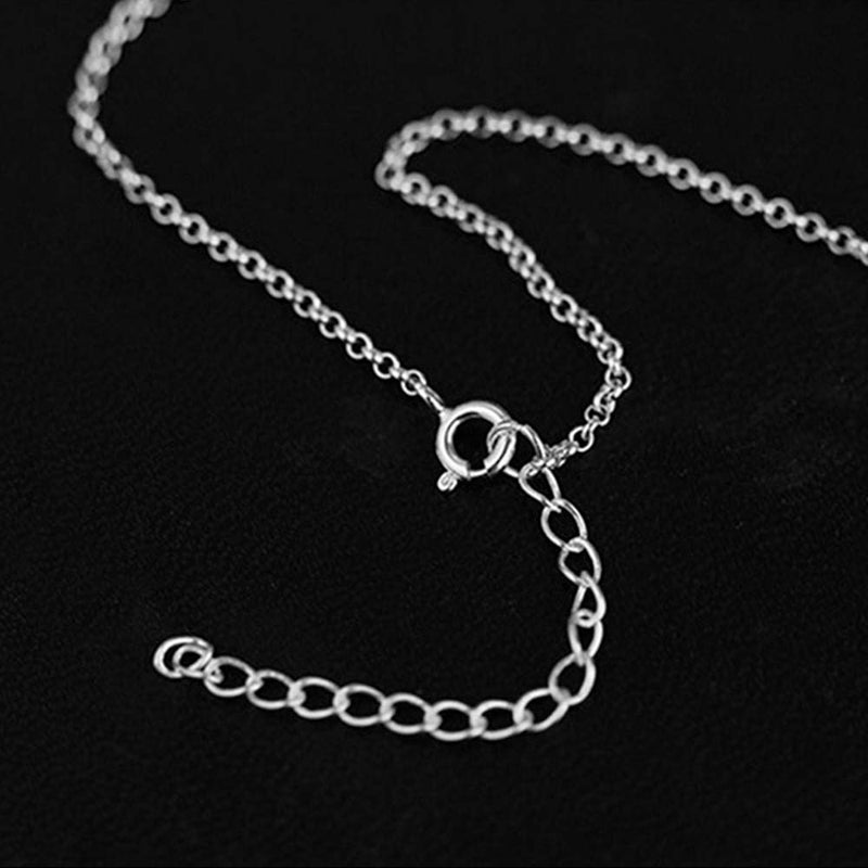Silver Necklace Chain Detail