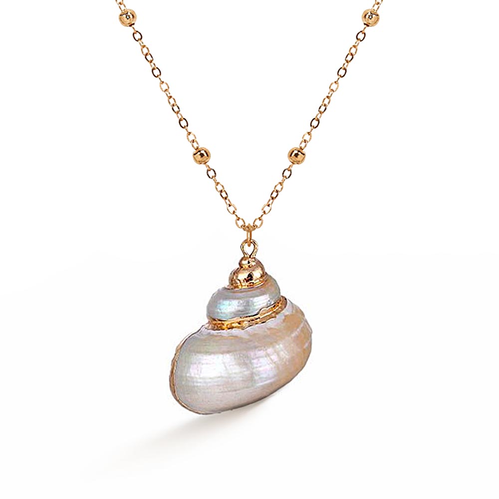 Nautilus Shell Necklace | Citrus Reef